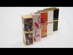 Tubes vides faits sur commande de rouge à lèvres de conteneurs de lustre de lèvre d'OEM avec le prix de gros